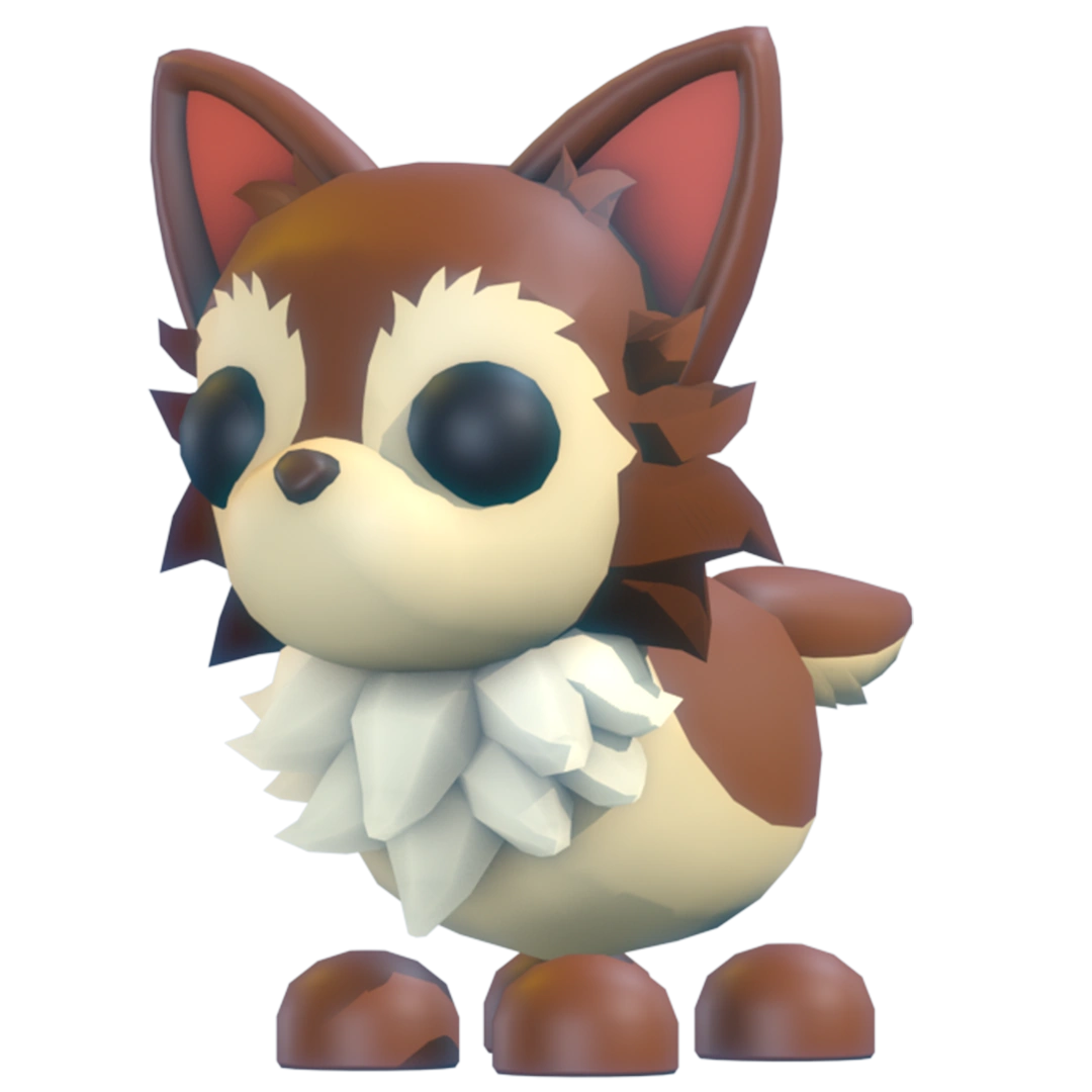 Chihuahua — Adopt Me