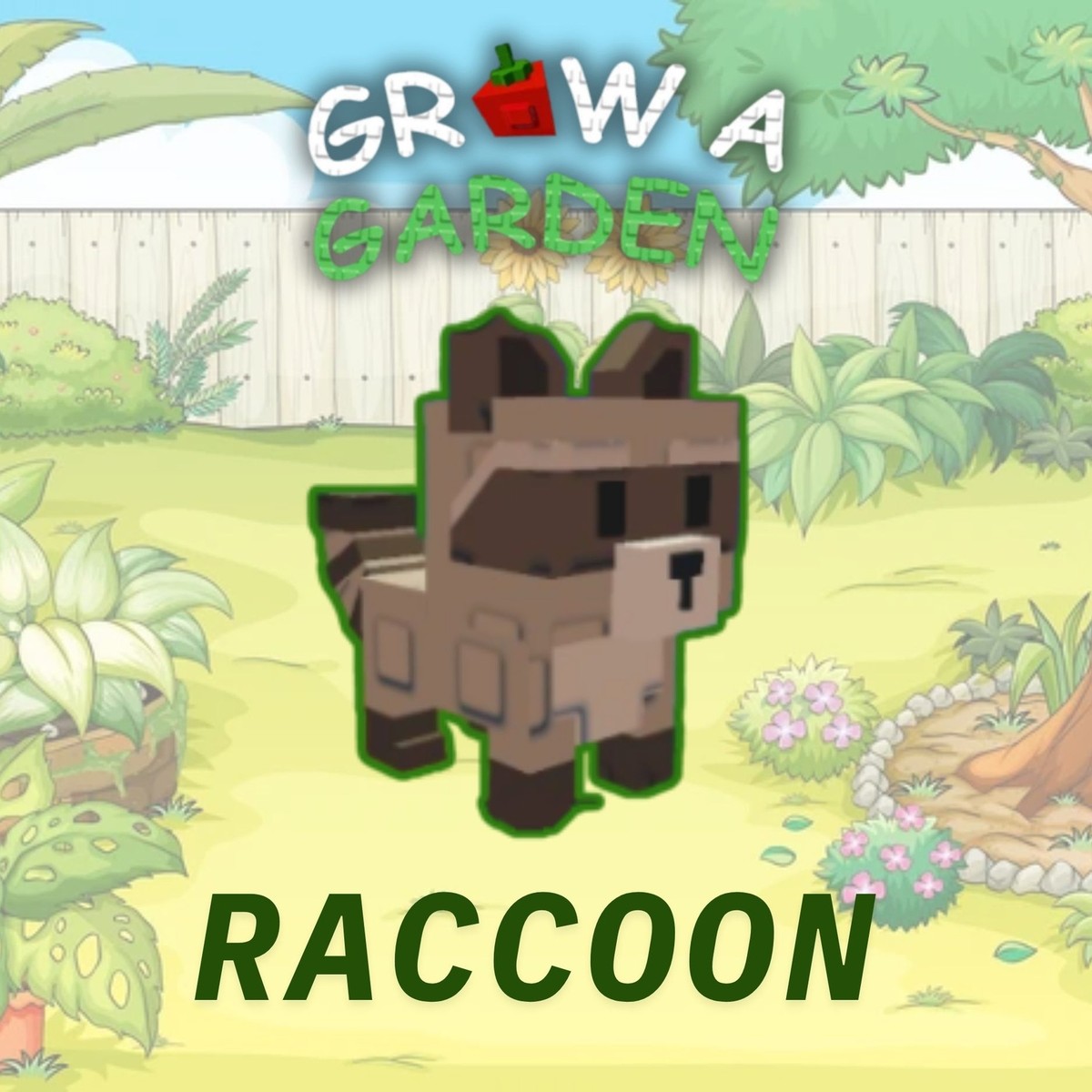 💎Raccoon💎