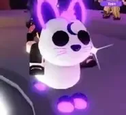 MR Moon Rabbit