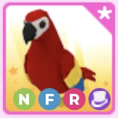 NFR parrot