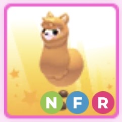 NFR Alpaca