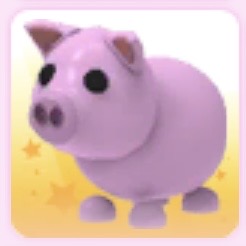 Pig 🐷