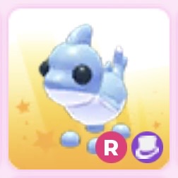 Shark puppy R