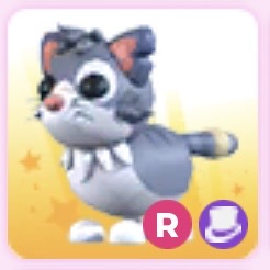 Alley cat R