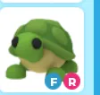 Turtle (FR)