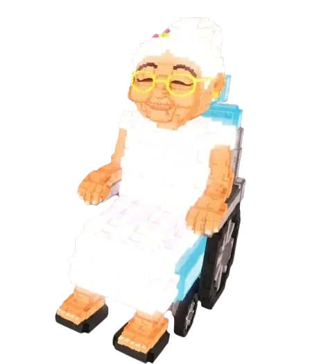 Wheelchair Granny Steal a Brainrot