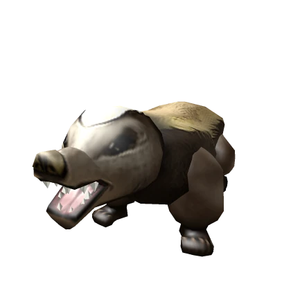 Badger pet from the MM2 Pet Box